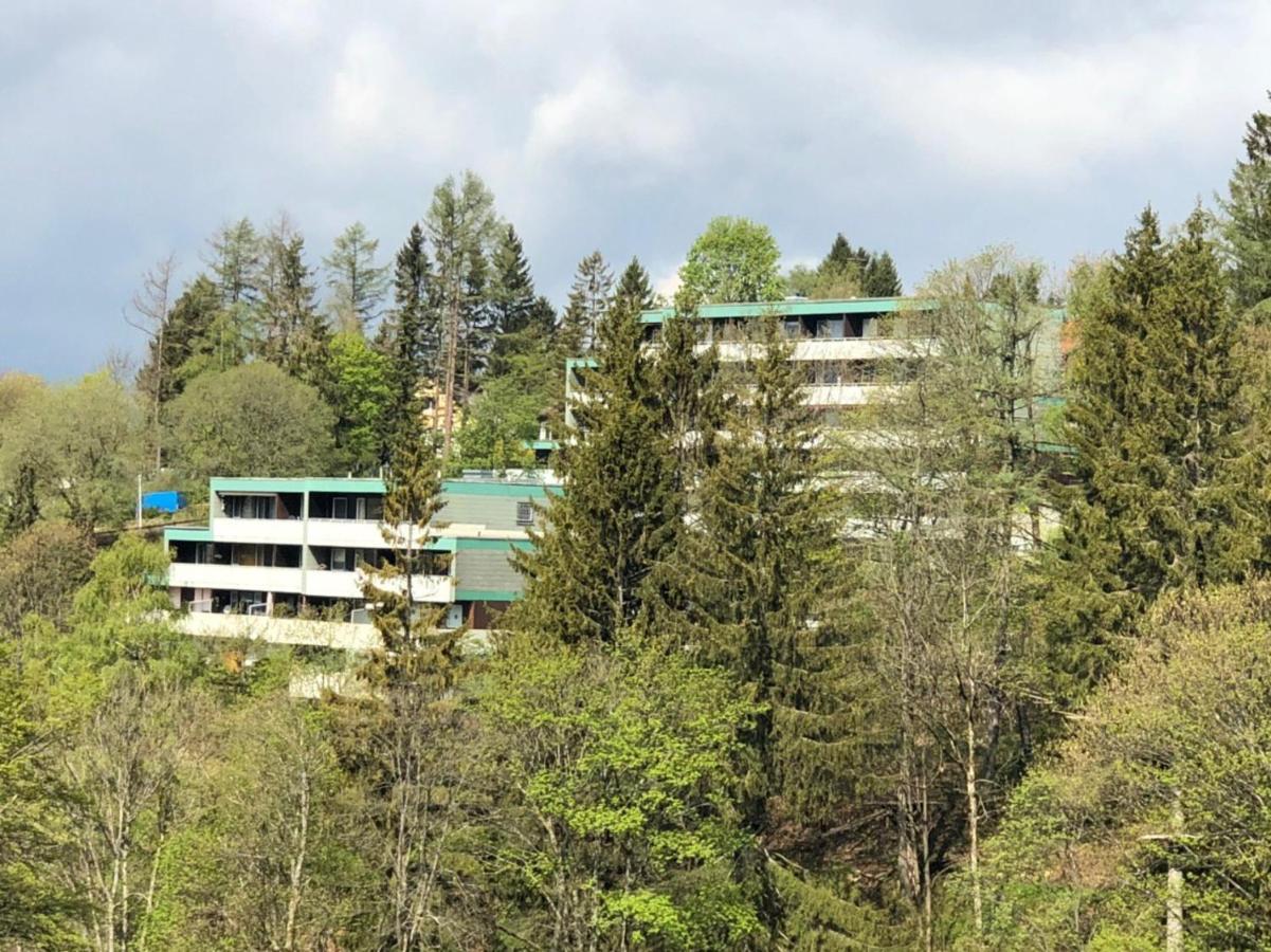 Apartment Harzblick -Neu Modernisiert- Sankt Andreasberg Exterior photo